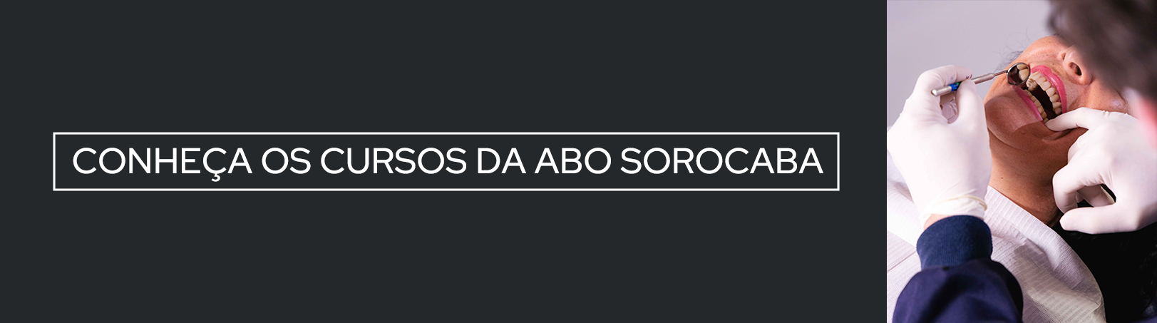 planejamento interdisciplinar